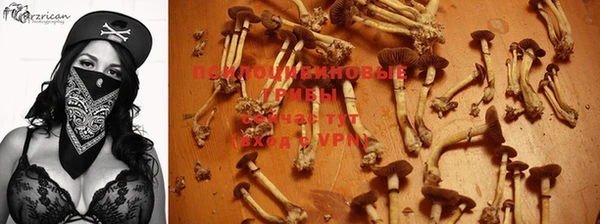 твердый Балахна